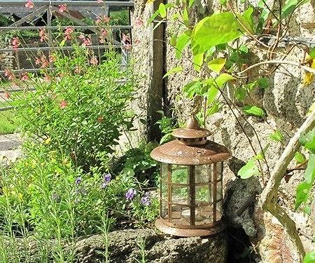 Lowertown Farm B&B Widecombe in the Moor Экстерьер фото