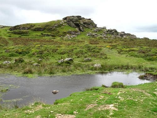 Lowertown Farm B&B Widecombe in the Moor Экстерьер фото