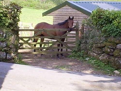 Lowertown Farm B&B Widecombe in the Moor Экстерьер фото